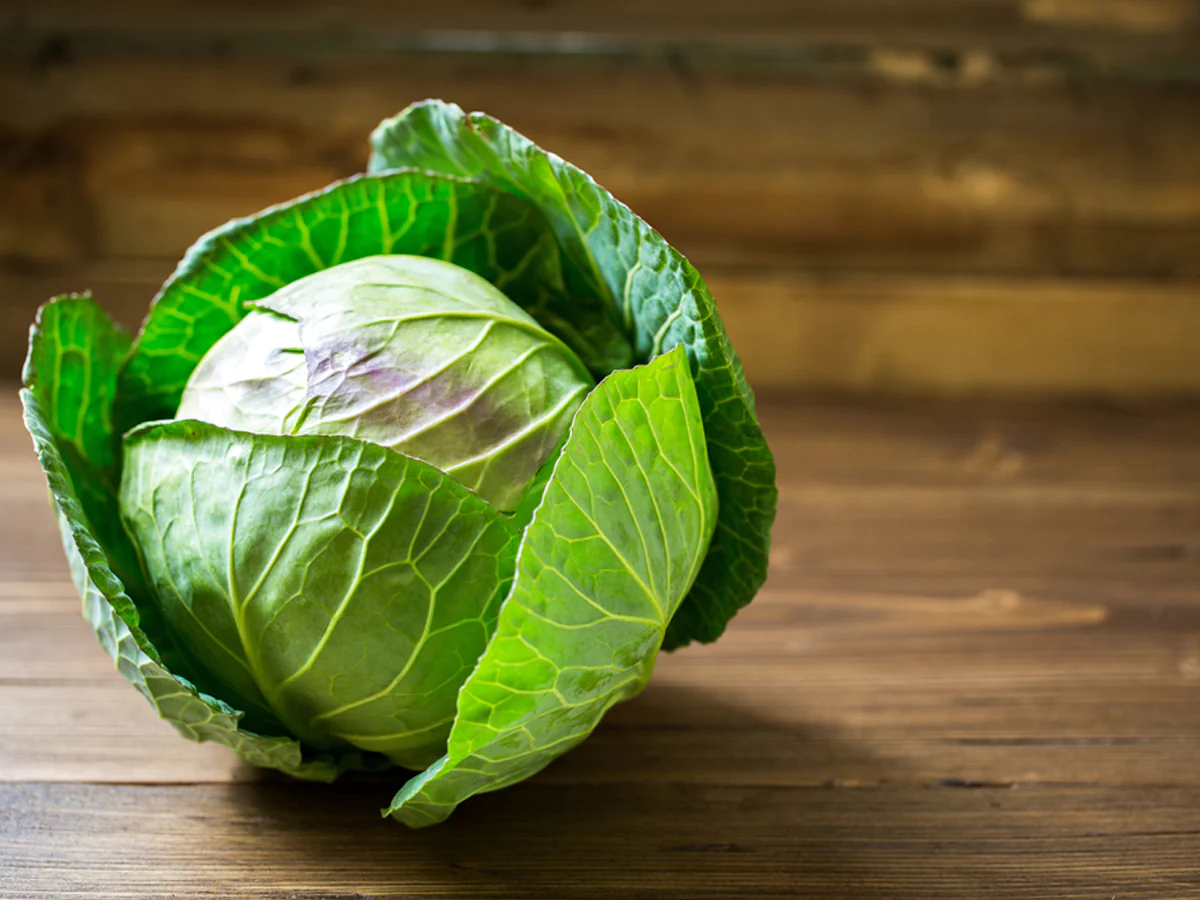 How to prepare cabbage for the winter