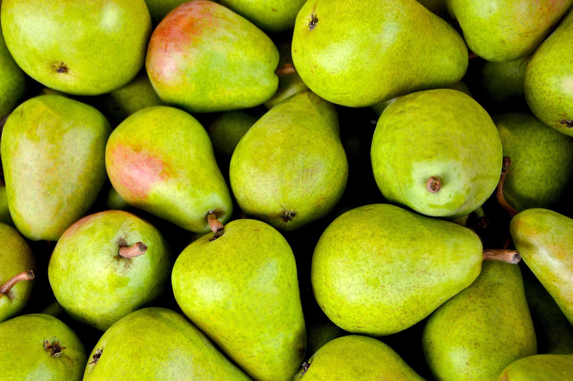 Organic Pears: A Bite into Health and Flavor!