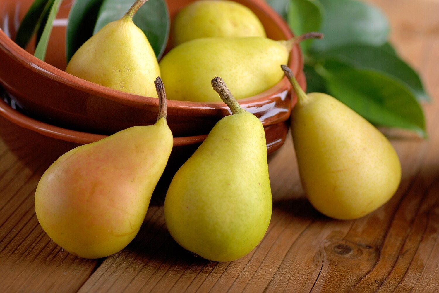 Pear-fectly Natural: The Sweet Benefits of Organic Pears!