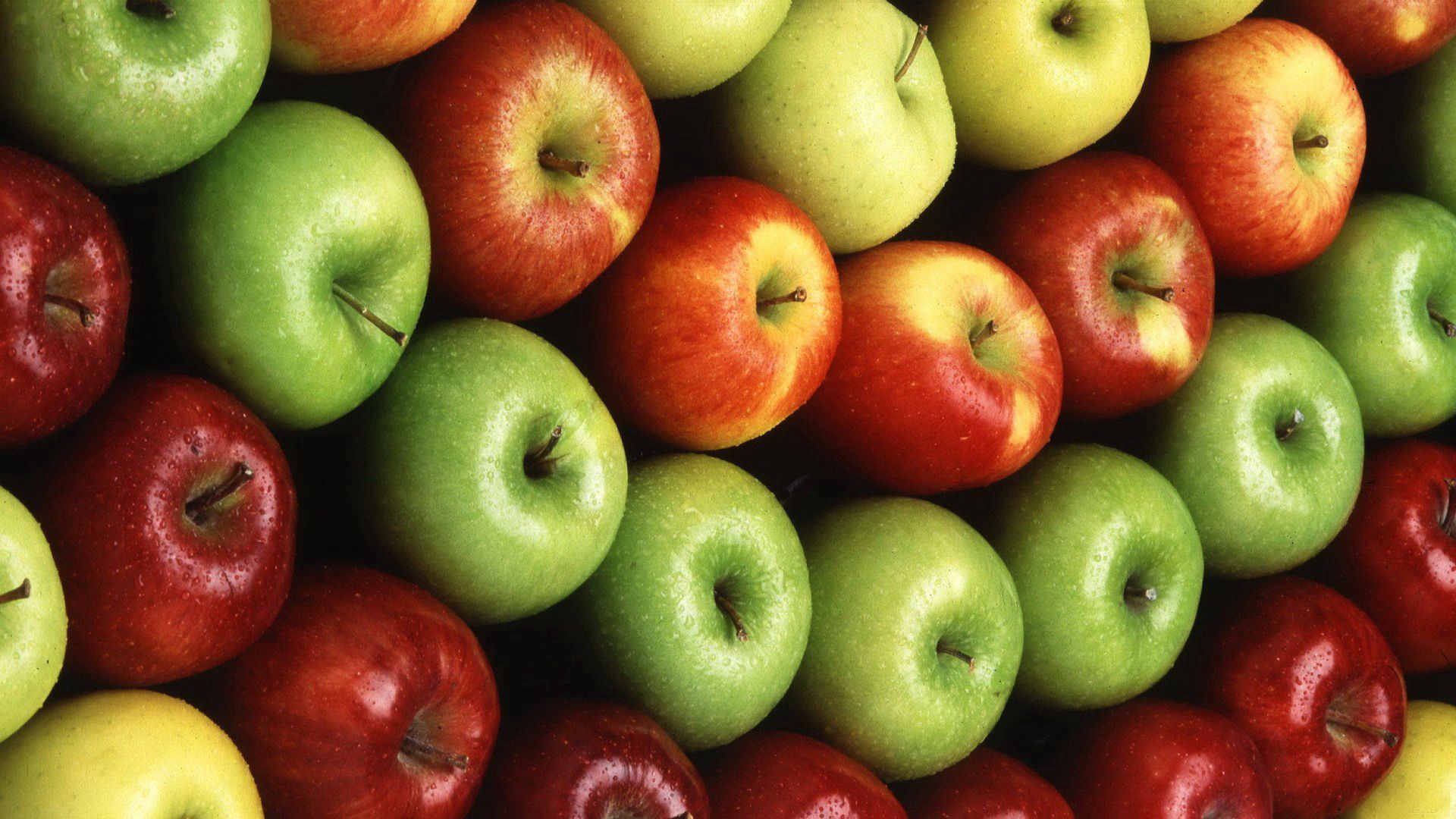 An Ode to Organic Apples: Biting into Health and Harmony!