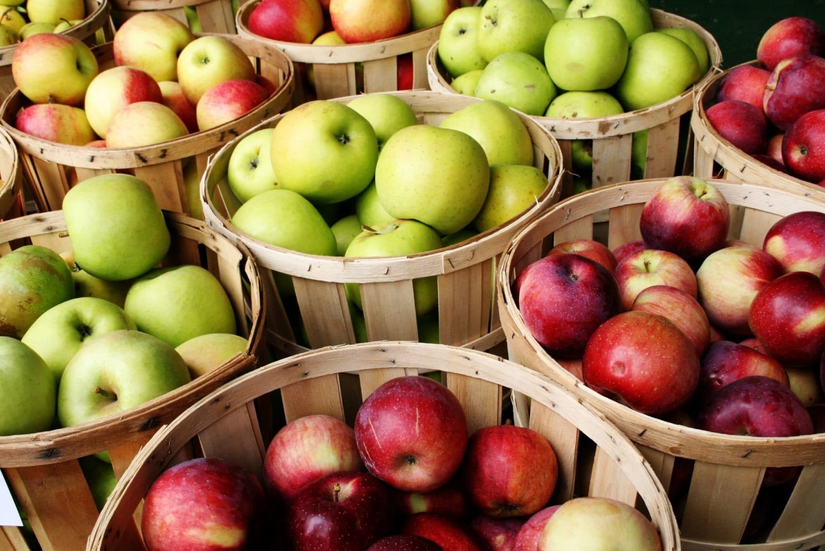 Nature's Crunch: The Wholesome Goodness of Organic Apples