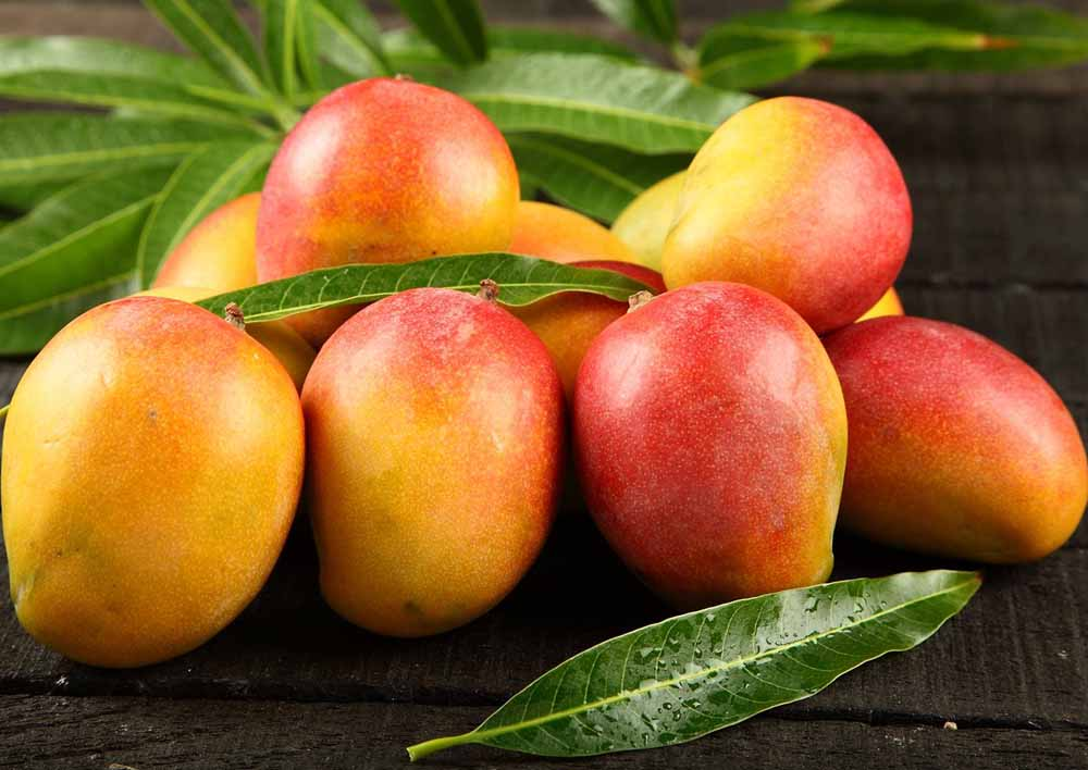 Tropical Bliss: The Wonders of Organic Mangoes